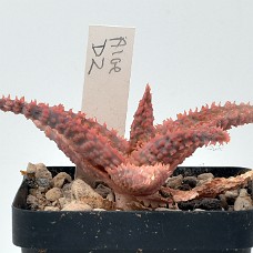 03b2_750_3996