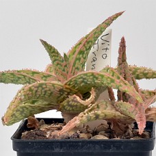 07b2_750_4052