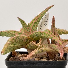 07b3_750_4052