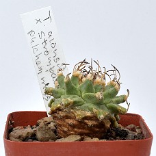01a_750_4936