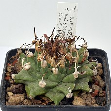 02b_750_4946
