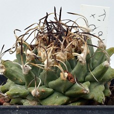 03a_750_4956