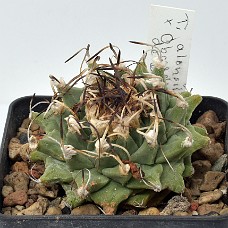 03b_750_4961