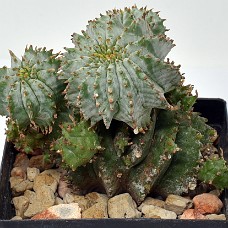 4b_750_4966