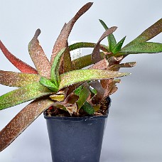 01a_750_5168