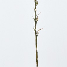 02a_750_6085