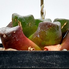 02b_750_6085b