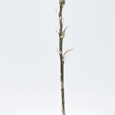 02c_750_6090