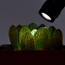 09Bf_750_6292