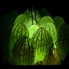 09Bh_750_6349