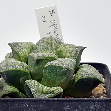 11a_750_6352