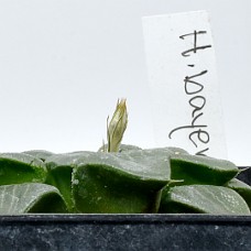 12a_750_6364