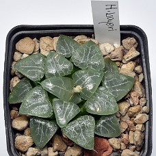 12c_750_6360