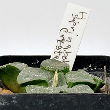 14Aa_750_6377