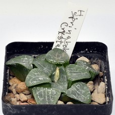 14Ab_750_6372