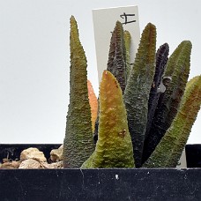15a_750_6391