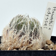 18a_750_6429