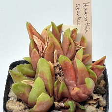 19b_750_6437
