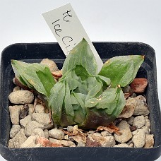 22b_750_6457
