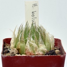 23a_750_6461