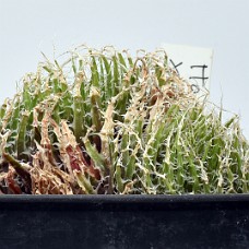25a_750_6473