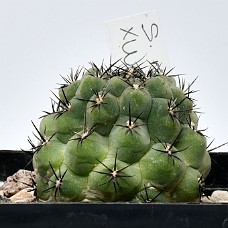 28a_750_6501