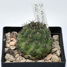 28b_750_6497