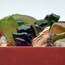 30a_750_6513