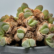 02_750_9293A