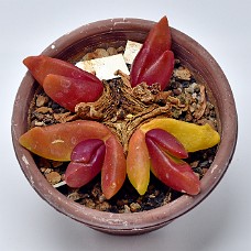03_750_9308C
