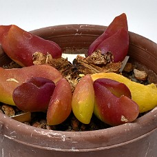 03_750_9313B2