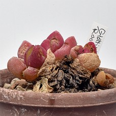 04_750_9323A
