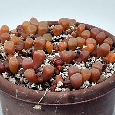 05_750_9343B