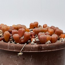 05_750_9348A