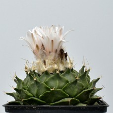 03_750_9840A