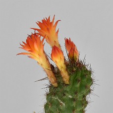 02b_750_2513