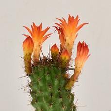 03b_750_2520