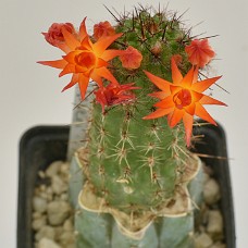 05_750_2561_01