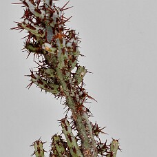 750_3955_wb