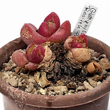 04_750_9328B_Select subj + Inv selection + Overstyr bagg med LightEQ