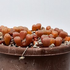 05_750_9348A 21-06-2023