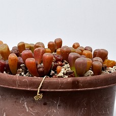 750_9941b___ 23-07-2023