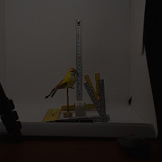 750_3910