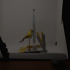 750_3911
