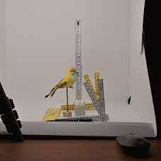 750_3914