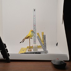 750_3915