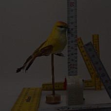 750_3919