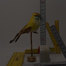 750_3920