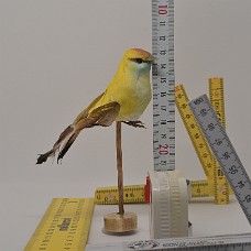 750_3923