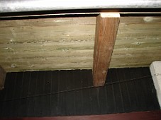 20_DSC01246